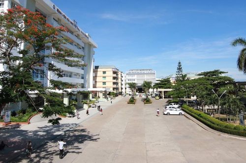 Bé trai 2 tuổi ở Quảng Bình bị chó becgie cắn nát mặt