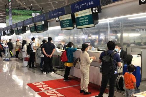 Đưa hơn 350 công dân Việt Nam từ Nhật Bản về nước