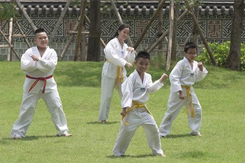 Ra mắt video Taekwonmu vui nhộn lan tỏa tinh thần chống dịch Covid-19