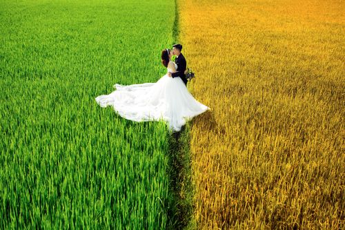Gia Lai hoang sơ, trữ tình qua khung hình cưới