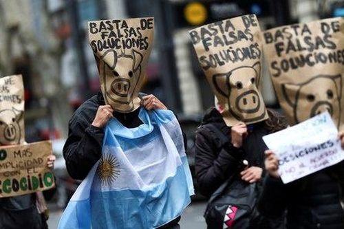 Đụng độ ở Argentina sau thỏa thuận cung cấp thịt lợn cho Trung Quốc