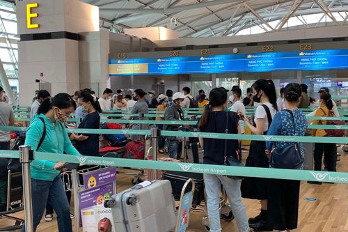 Hơn 645 công dân Việt Nam từ Singapore, Hàn Quốc về nước an toàn