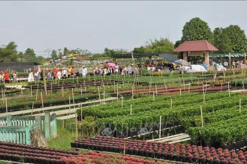 600 tỷ đồng xây dựng làng văn hóa Sa Đéc