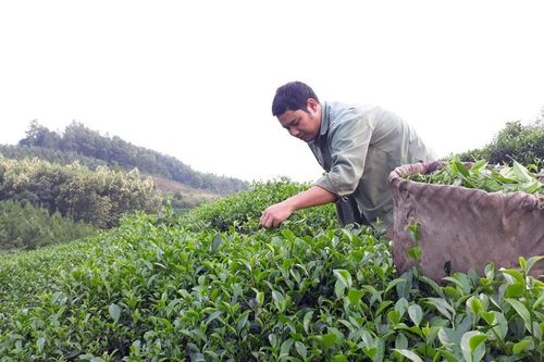 Người thầy một tay gieo chữ trên đỉnh đồi