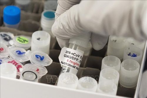 WHO sẽ không phê chuẩn vaccine chưa đáp ứng tiêu chí an toàn và hiệu quả