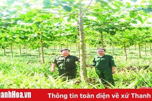 Khát vọng rừng xanh - Bài 1: Một đời người, một rừng cây
