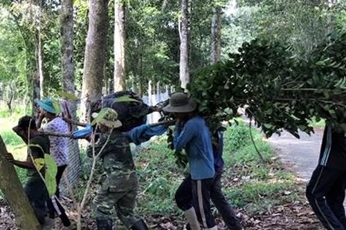 Khu bảo tồn gen Trà hoa vàng 'độc nhất vô nhị' Việt Nam