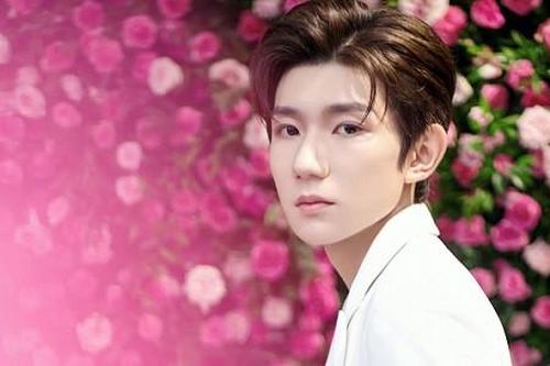 Trong thế giới fangirl: Không vì gì cả, tôi thích Vương Nguyên vì cậu ấy là Vương Nguyên