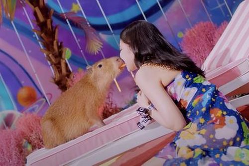 Loài vật xuất hiện trong MV 'Ice Cream' có tên là gì mà được Jennie BLACKPINK 'hôn môi'?
