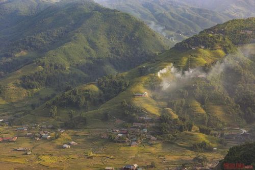 Mường Hoa mùa gặt