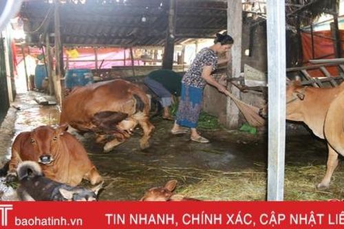 Cấm chăn nuôi tại khu vực không được phép trong TP Hà Tĩnh, cần có lộ trình