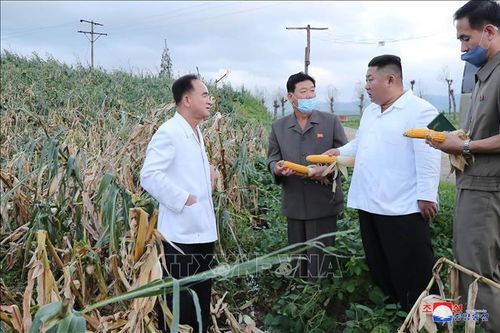 Đảng Lao động Triều Tiên họp bàn về khắc phục hậu quả do bão Maysak