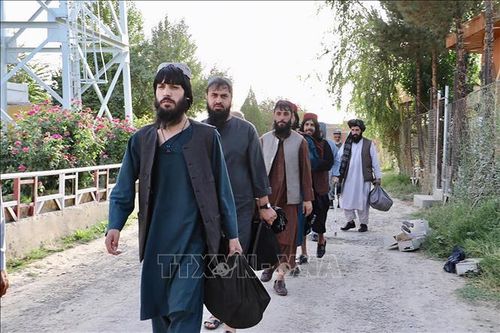Nhóm đàm phán Taliban tới Qatar chuẩn bị cho hòa đàm với Chính phủ Afghansitan