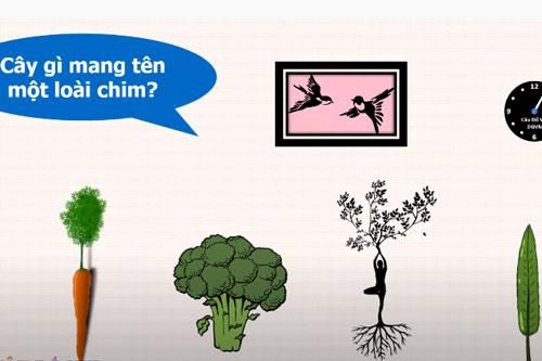 CLIP: Những câu đố mẹo làm cho nhiều người phải 'điên đầu' suy nghĩ tìm đáp án