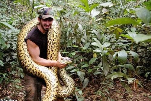 'Giật mình' trước đảo rắn nguy hiểm nhất thế giới ở Brazil
