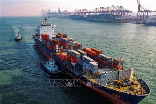 Các công ty Trung Quốc tiếp tục chi phối thị trường xuất khẩu thế giới