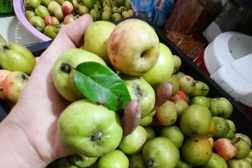 Tiểu thương chỉ cách chọn táo mèo Tây Bắc đúng chuẩn