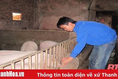 Khó khăn di dời các hộ chăn nuôi ra khỏi khu dân cư