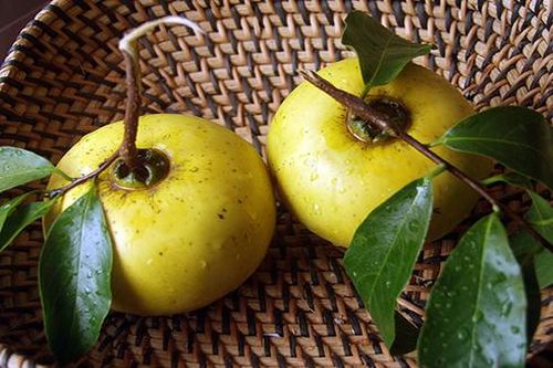 Quả thị và những điều chưa biết