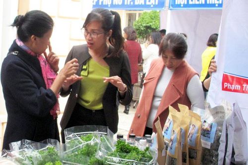 Hợp tác xã Trùn quế Đơn Dương được hỗ trợ 200 triệu đồng xây dựng chuỗi giá trị liên kết