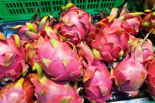 Dự báo xuất khẩu trái cây sẽ có nhiều tín hiệu khả quan