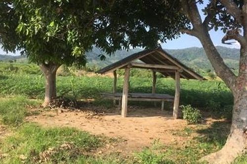 Hai cán bộ kiểm lâm bị hành hung khi làm nhiệm vụ