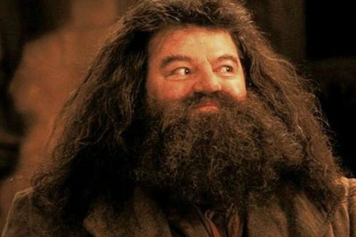 'Sinh vật huyền bí 3' có thể bổ sung thêm nhân vật từ 'Harry Potter'