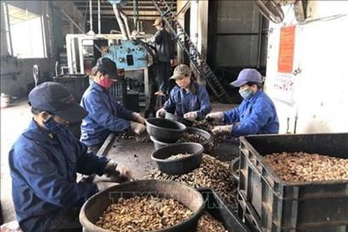 Giải thưởng Doanh nghiệp ASEAN (ABA) 2020 chính thức nhận hồ sơ đăng ký tham gia