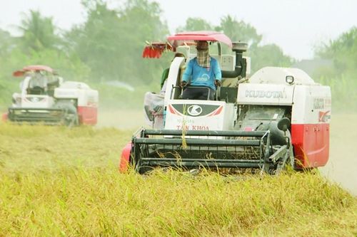 Soi năng lực Cty Trung An của tổng GĐ Phạm Thái Bình phát ngôn 'sốc' về gạo bẩn