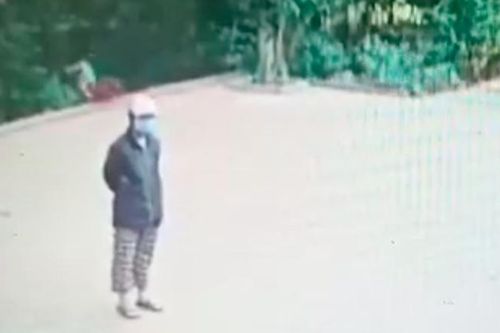 Clip: Bé trai đạp xe lao thẳng xuống vực, người lớn đứng gần đấy không hay biết