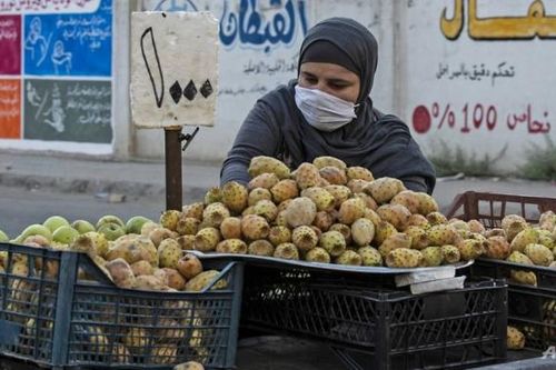 Hơn 200 nhân viên Liên Hợp Quốc ở Syria nhiễm Covid-19