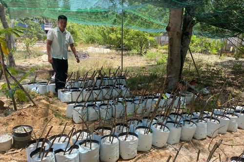 Xã đặt 200 chiếc lu sẽ cho thanh niên vẽ lên để tạo điểm nhấn