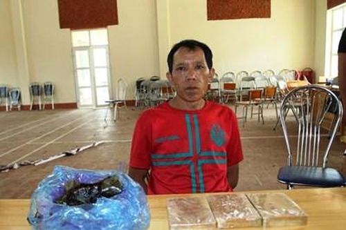 10 tiếng bám đuổi bắt đối tượng vận chuyển 3 bánh heroin, 800g thuốc phiện