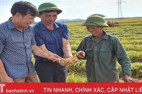 Gieo đúng lịch, cơ giới hóa trong sản xuất, huyện Kỳ Anh 'về đích' thu hoạch lúa hè thu