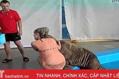 Hài hước với khoảnh khắc chị em bị động vật 'tấn công' bất ngờ