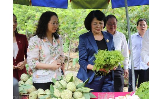 Phó Chủ tịch nước Đặng Thị Ngọc Thịnh thăm, làm việc ở huyện Chi Lăng