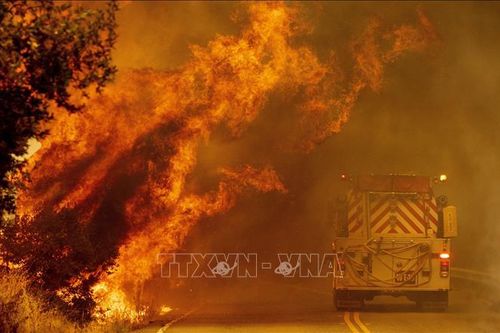Giải cứu trên 200 người mắc kẹt do cháy rừng ở California