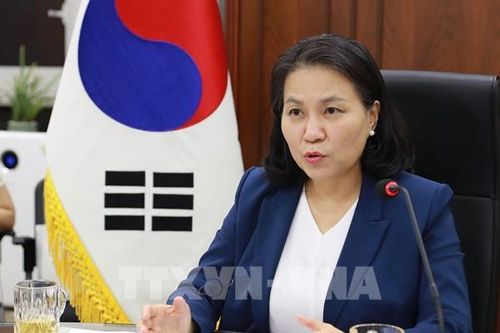 WTO khởi động tiến trình bầu chọn lãnh đạo mới