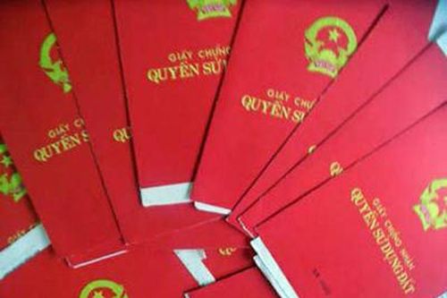 Xã Ninh Phước: Cấp 'sổ đỏ' đất lâm nghiệp sai đối tượng