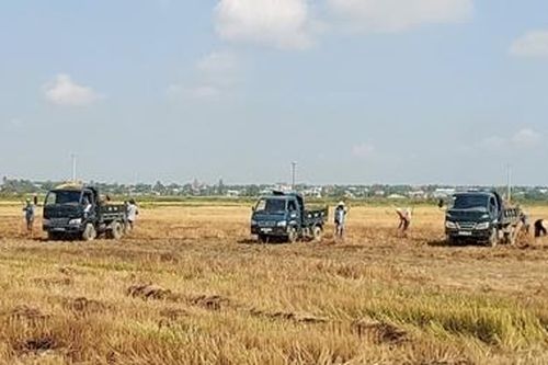 Ngang nhiên khai thác đất ruộng trái phép