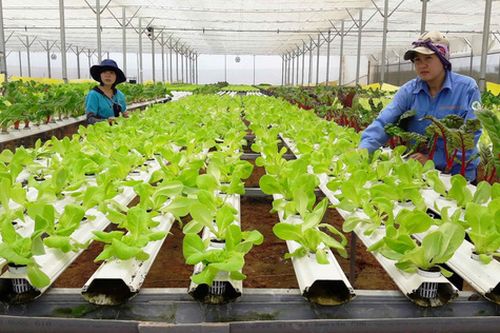 Phát huy thế mạnh nông nghiệp, nông thôn