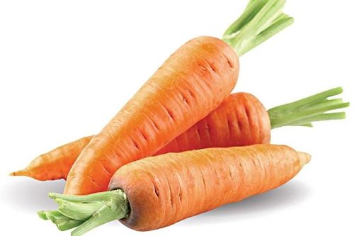 Cà rốt - vị thuốc chữa tiêu chảy ở trẻ em