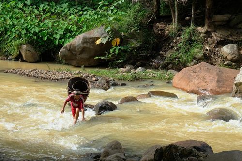 Những thảm họa được báo trước