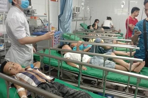 16 học sinh nhập viện vì bị ong đốt