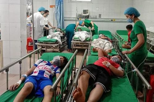 Nghệ An: Chọc phá tổ ong, 16 học sinh tiểu học nhập viện cấp cứu