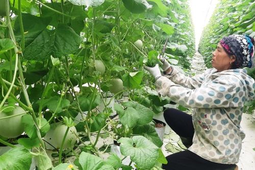 Những đổi thay trên đồng đất Xô-viết