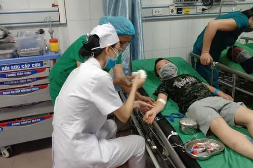 Nghệ An: Hàng chục học sinh tiểu học nhập viện do bị ong đốt