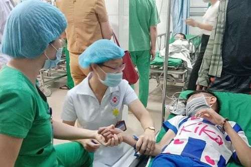 Chọc phá tổ ong trong sân trường, 6 học sinh tiểu học nhập viện