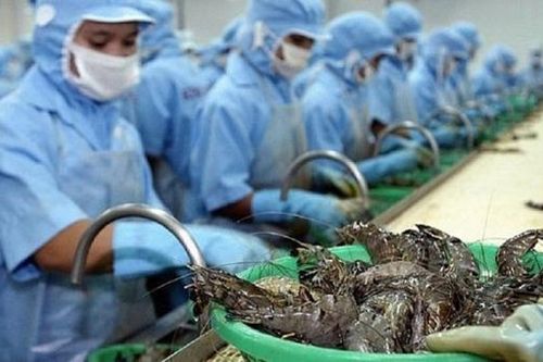 Hiệp định EVFTA: Cơ hội tăng trưởng xuất khẩu Tôm Việt Nam sang EU