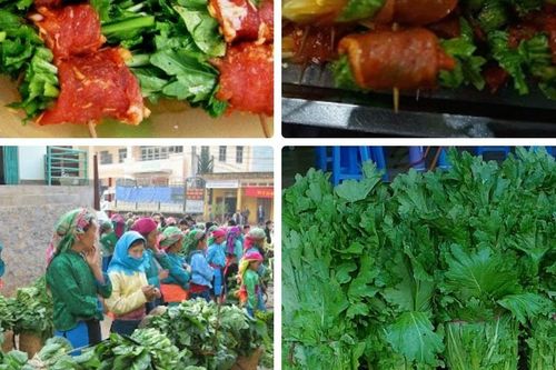 Rau cải Mèo - Đặc sản ngọt lành được đất trời ban tặng cho Sa Pa